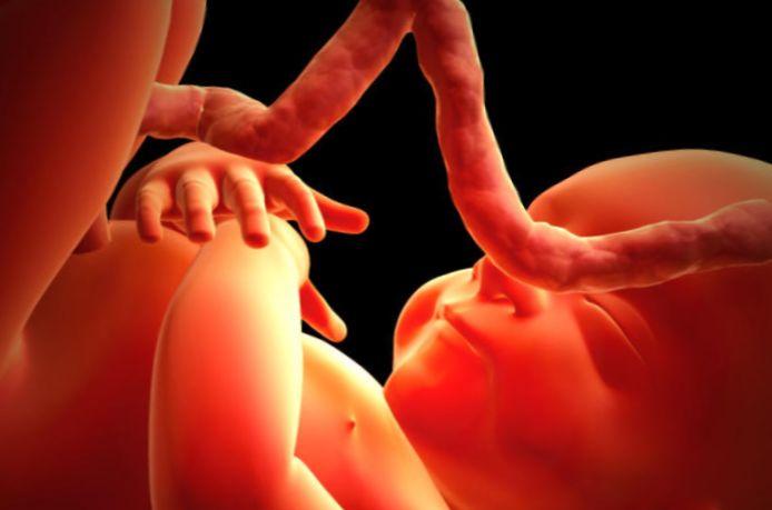 Влияние сексуальной жизни женщины на беременность