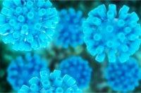 Серологическая лаборатория