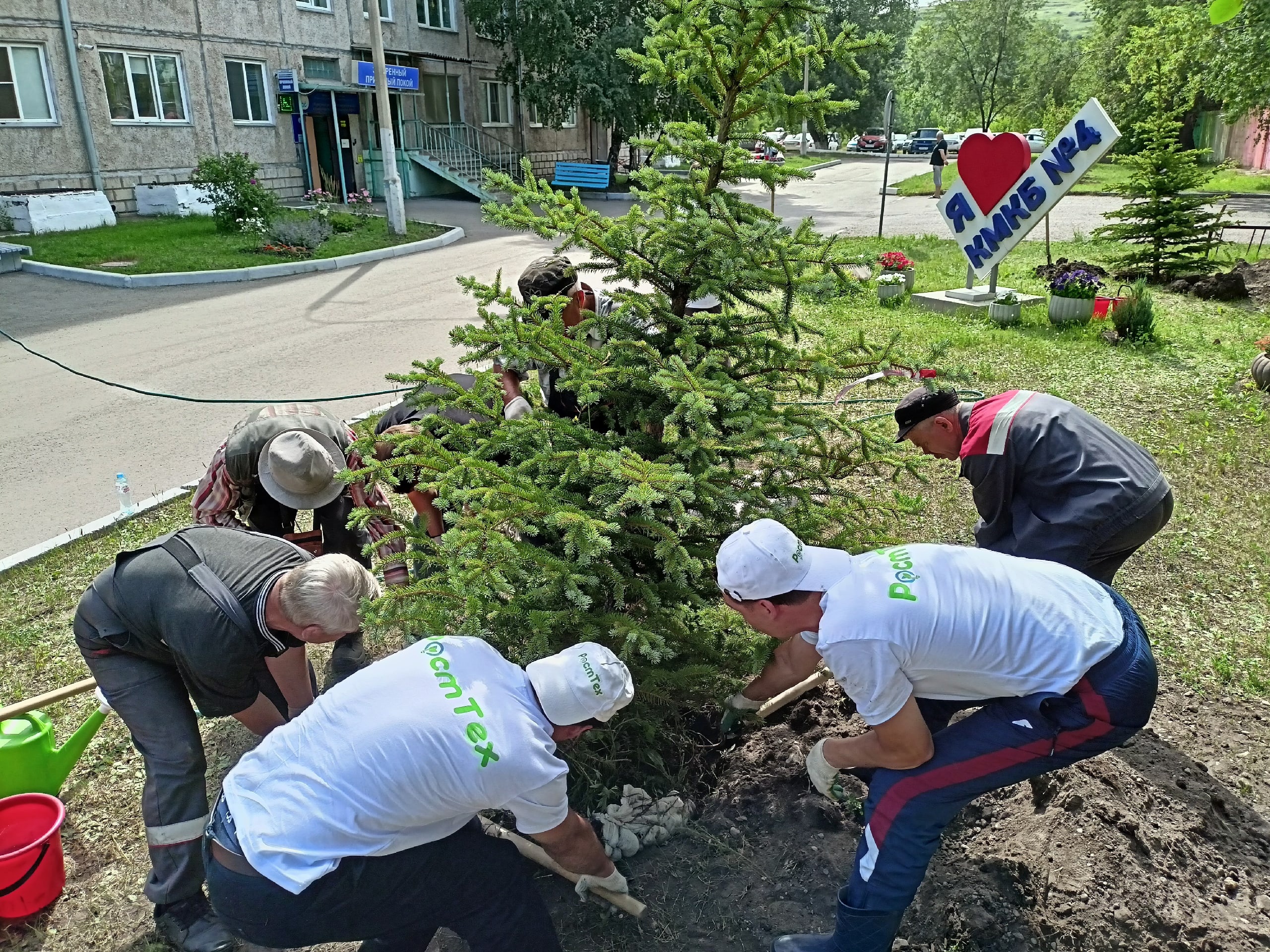 В КГБУЗ «КМКБ № 4» прошла акция по озеленению территории