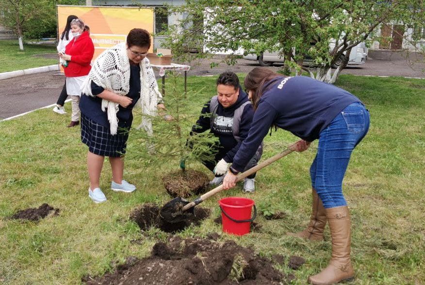 В Красноярске появилась аллея в честь гражданского вклада в борьбу с распространением COVID-19