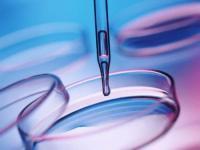 Бактериологическая лаборатория