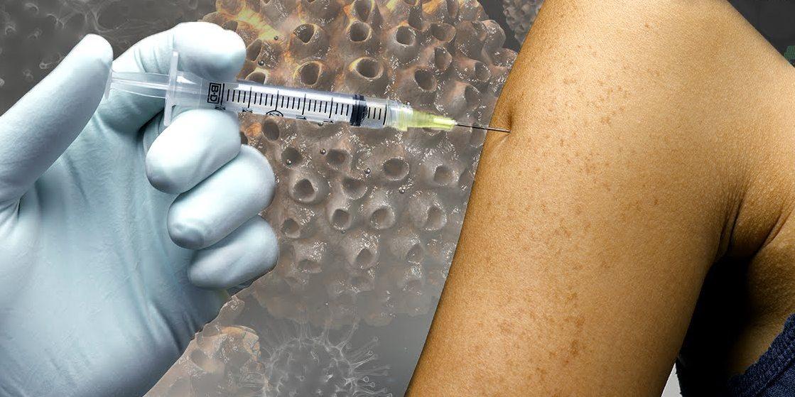 Красноярские гинекологи призывают к профилактике ВПЧ