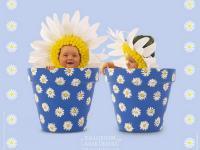 Лечение бесплодия методом ЭКО в счет системы обязательного медицинского страхования за пределами Красноярского края