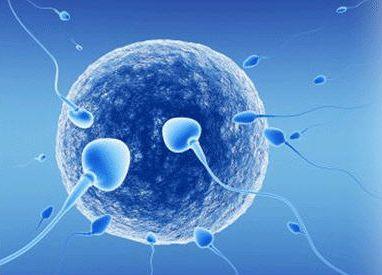 Школа репродуктивной медицины