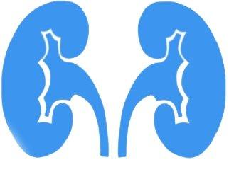 Перечень анализов в урологическое отделение