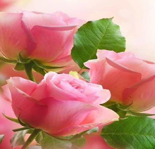 Благодарность пациента