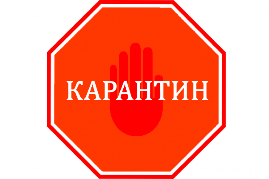 ЧТО ЗНАЧИТ «КАРАНТИН»	 